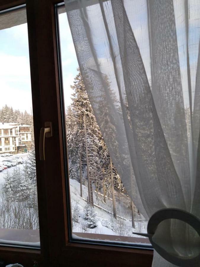 Пампорово Студио Милка В Хотел Росица Exterior photo